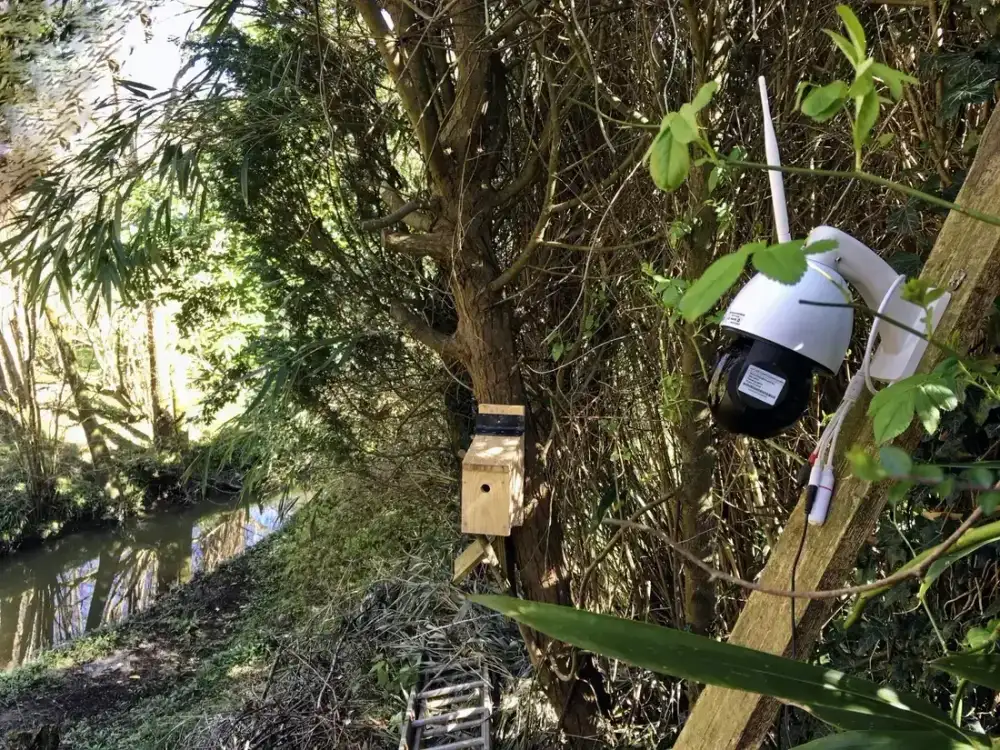 Vidéosurveillance et caméra IP à Cholet